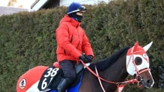 【注目馬動向】大寒桜賞Ｖでオープン入りのテルヒコウは青葉賞へ　ＧＬＡＹのＴＥＲＵが名付け親のコントレイル産駒