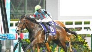 【皐月賞想定】カヴァレリッツォ、バステールなど16頭