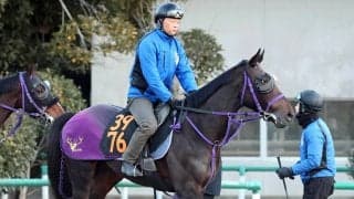 【注目馬動向】２５年天皇賞・秋勝ち馬マスカレードボールの半弟アナザーフェイス　次走は４月２６日東京競馬の未勝利戦へ