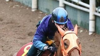 【桜花賞・１週前】２歳女王スターアニスは坂路で躍動感抜群　松山弘平騎手「さすがＧ１馬という動き」