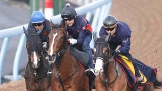 【チャーチルダウンズＣ】重賞連勝狙うサンダーストラックは３頭併せで悠々と最先着　陣営「いい意味で余白がある」