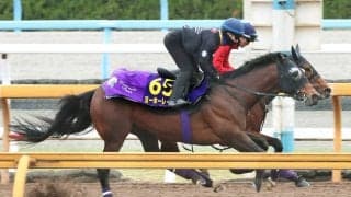 【Ｇ１トク捜リレー】ベテラン勢の奮闘目立つＧ１戦線　栗東・理貴記者の注目は昨年３着の８歳馬　大阪杯