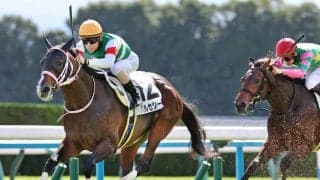 【チャーチルダウンズＣ】まだまだ奥があるバルセシートは坂路でパワフル　松下調教師「前走のブリンカー効果はありました」