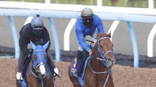 【大阪杯】しまい勝負にかけるサンストックトンは併入　堀内調教師「相手は強いが、ひと脚が使える状態」