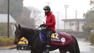 【チャーチルダウンズＣ】Ｇ１で１番人気の素質馬アンドゥーリルが巻き返し狙う　陣営「マイルがいい方に出れば」