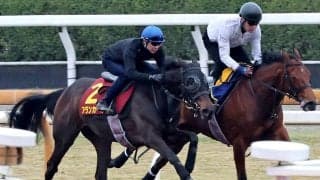 【桜花賞・１週前】「いい内容だった」「本番でも楽しみ」武豊騎手は俊敏な加速見せたアランカールを高評価　