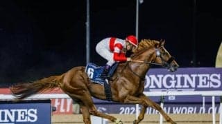 【大阪杯予想】AIはダノンデサイルを◎指名 強調ポイントと懸念点は？