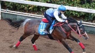 【ダービー卿ＣＴ】スズハロームはラストの伸び脚が際立つ　牧田調教師「思ったより時計は出ていました」