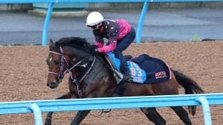 【ダービー卿ＣＴ】シリウスコルトはダイナミックな動きで好調アピール　田中勝調教師「折り合い面も大丈夫」