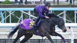 【大阪杯】“ＳＨＯ　ＴＩＭＥ”の予感！ＤＰコース追いは友道厩舎流「順調」の証し　ショウヘイに「十分チャンスはある」