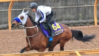 「宝塚記念に近づける」メイショウタバル圧倒Vの再現仕上げ　３戦３勝の仁川も追い風