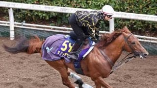 【大阪杯】ダノンデサイルは坂路で整えて万全の態勢　安田調教師「経験を生かして、もちろんいい結果を」