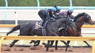 【大阪杯】２５年のダービー馬、クロワデュノールが弾むような走り　斉藤崇調教師「後ろ（脚）がしっかり踏めるようになってきている」