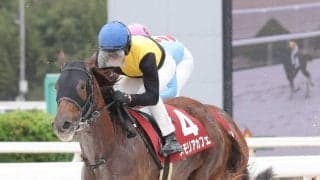 【兵庫女王盃】ルメール騎手「中央競馬でも結果を出せる」メモリアカフェが差し切って重賞２勝目