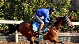 ２３年カペラＳ覇者のテイエムトッキュウが引退　前走後に左前浅屈腱炎が判明　今後は乗馬になる予定