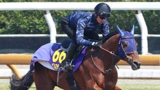 【大阪杯】木曜追いのレーベンスティールが抜群の動き　悲願のＧ１タイトルへ田中博調教師「満足のいく状態で送り出せます」