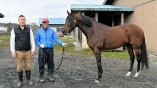 3冠馬生んだ東北の馬産、青森で復活の動き　新種牡馬を導入、3頭目