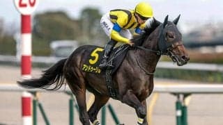 【チャーチルダウンズC出走馬・騎手確定】アンドゥーリル＆川田将雅騎手、サンダーストラック＆C.ルメール騎手など14頭