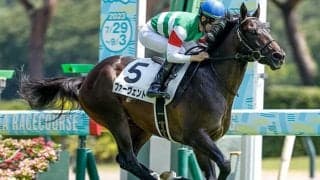 【ダービー卿CT出走馬・騎手確定】ファーヴェント＆横山武史騎手、ミニトランザット＆西村淳也騎手など16頭