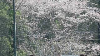 【ラグビーリーグワン】静岡ブルーレヴズが４日に長崎で相模原戦　地元出身のＳＨ岡崎航大「いいイメージしかない会場」