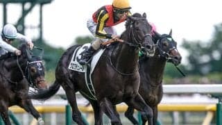 【大阪杯・調教後馬体重】クロワデュノールは526kg、ショウヘイは482kg