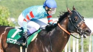 【ポラリスS】重賞2勝のヤマニンウルス 復帰戦で勝利なるか