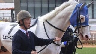 近親はソダシやメイケイエール 白毛馬シュネーグロッケンが激変なるか