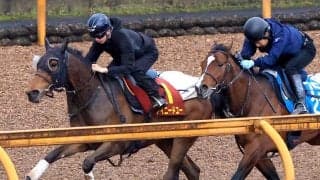 【桜花賞・１週前】アイニードユーは加速ラップでしっかり先着　吉村調教師「すごく成長しているのかな」