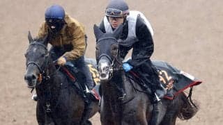 【皐月賞・２週前】上原佑厩舎のグリーンエナジー、フォルテアンジェロが併せ馬　「このままいってほしい」