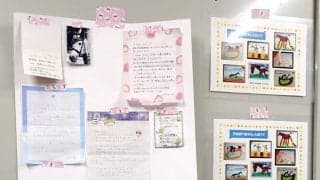 【船橋競馬】１０歳を迎えたＪＢＣクラシック優勝馬　誘導馬の現在は幼稚園生とのふれあいも