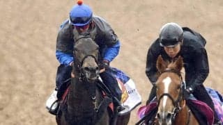 【桜花賞・１週前】ルールザウェイヴは折り合いに進境　原優介騎手「落ち着いています」