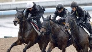 【桜花賞・１週前】一番時計をマークし先着したショウナンカリスに加藤士調教師も手応え「うまくやれました」