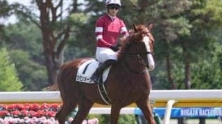 「ウマ娘」藤田晋オーナーの1.6億円馬 カモンメーンが初勝利なるか