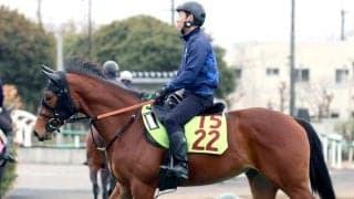 【ＰＯＧ】名牝アーモンドアイを伯母に持つ良血馬ユタライトがゲート試験に合格　宮田調教師「優等生ですね」