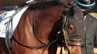 全兄は中日新聞杯覇者のデシエルト 名牝系出身のアクアアイが初勝利なるか