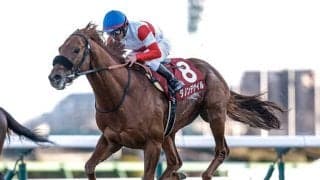 【大阪杯枠順確定】ダノンデサイルは3枠4番、クロワデュノールは8枠15番