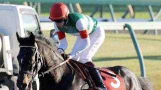 【ダービー卿ＣＴ】重賞初制覇を狙うファーヴェントは４枠８番　京都金杯勝ち馬のブエナオンダは３枠５番　枠順確定