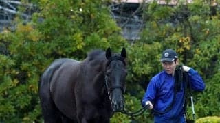 【大阪杯】クロワデュノールは大外８枠１５番に決定　武豊騎手のメイショウタバルは４枠６番