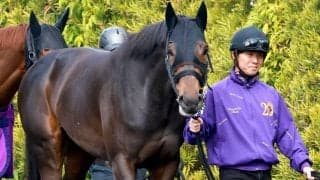 【大阪杯】３枠５番のショウヘイは雨の影響残りそうな馬場にも前向き　友道調教師「極端な時計勝負になるよりは…」