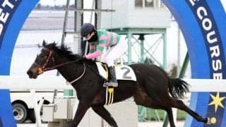 門別競馬場で今年初めて本馬場使用の能力試験 2歳馬スハッチェが50.0秒の好タイム記録