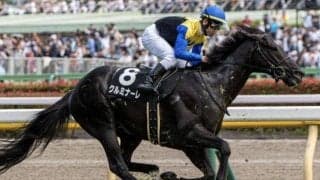 【美浦S】半兄に重賞勝ち馬3頭 クルミナーレが連勝でオープン入りなるか