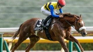 【ニュージーランドT想定馬・騎手】ヒズマスターピース、ロデオドライブなど16頭