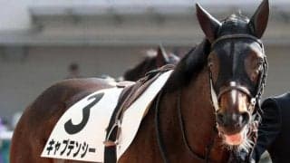 【心斎橋S】母はGI馬アドマイヤリード キャプテンシーが約2年3カ月ぶりの勝利なるか