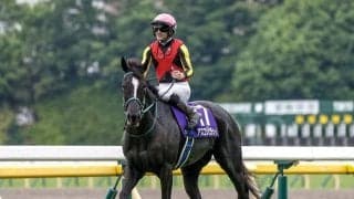 【阪神牝馬S想定馬・騎手】アスコリピチェーノ、エンブロイダリーなど10頭