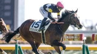 【チャーチルダウンズC予想】キャリアの浅い3歳馬は前走の経験が重要！  一気の相手強化で評価を下げたい人気馬