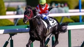 【山吹賞】「熊本産の星」ヨカヨカの初仔 ヨカオウが連勝狙う