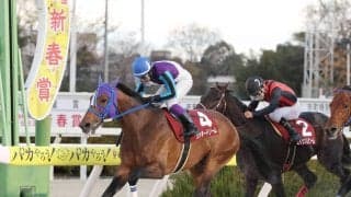 兵庫のラッキードリームが浦和へ移籍　２０年ＪＢＣ２歳優駿など重賞１３勝　野田オーナーがＸで明かす