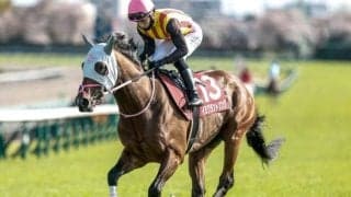 【今日の注目ポイント】中山でダービー卿CTと阪神でチャーチルダウンズC