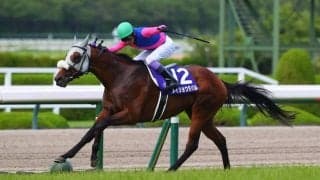 武豊騎手 今週の騎乗馬…大阪杯はメイショウタバルとのコンビ