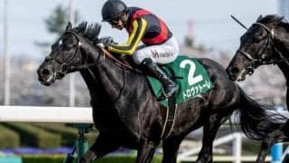 ダービー卿CTはハンデ戦らしい傾向 馬体重に注目